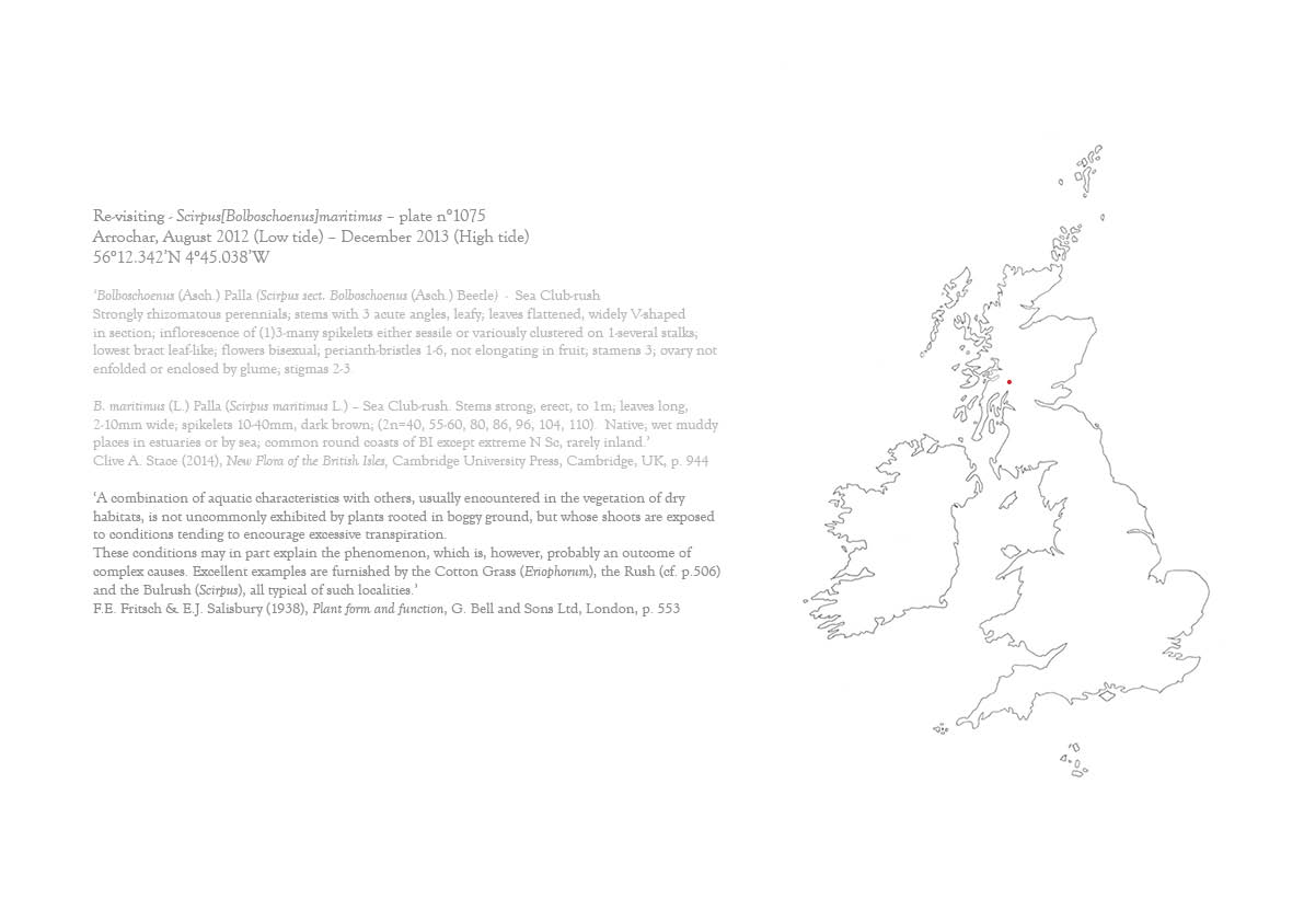 re-visiting maptext4